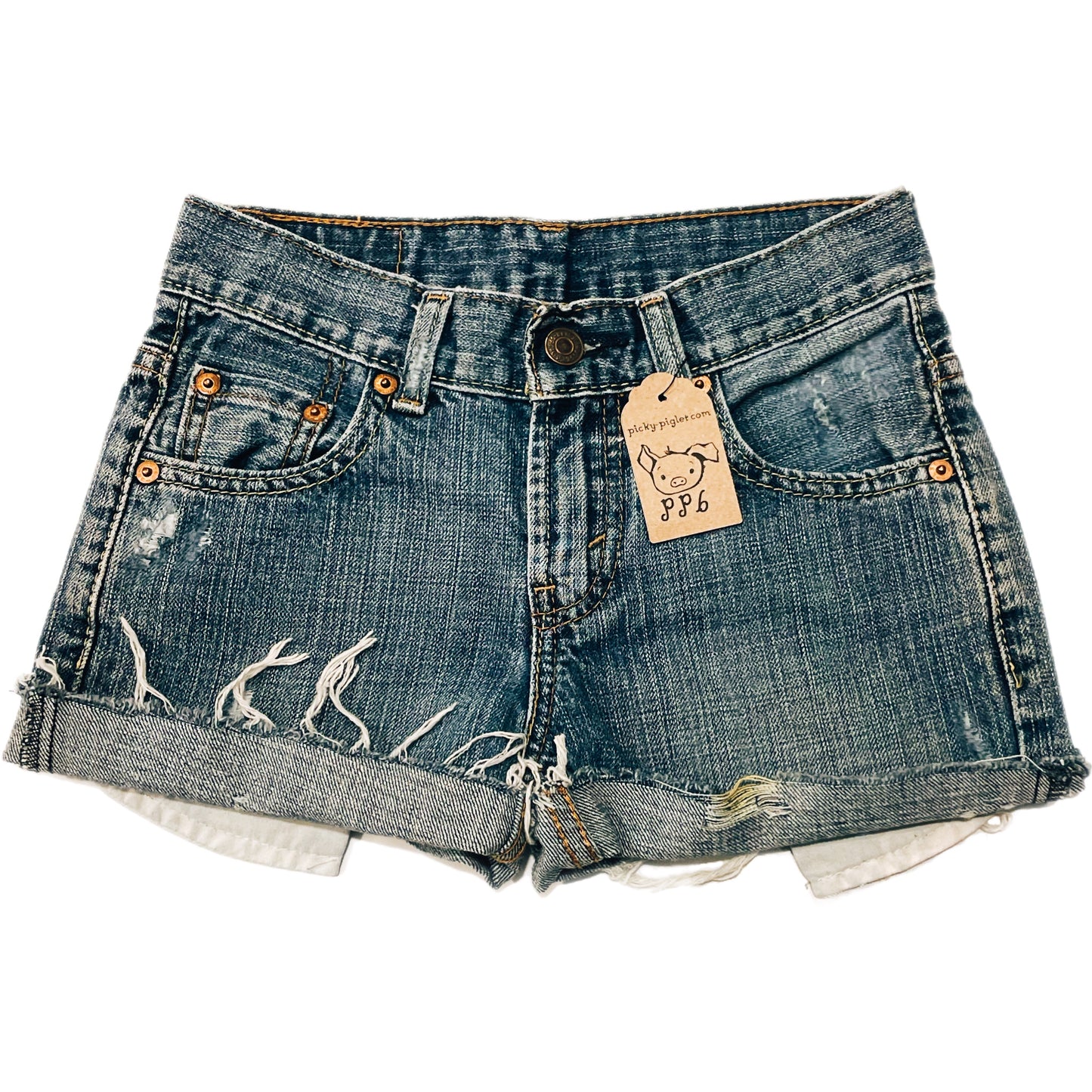 Closed- Loop Levi