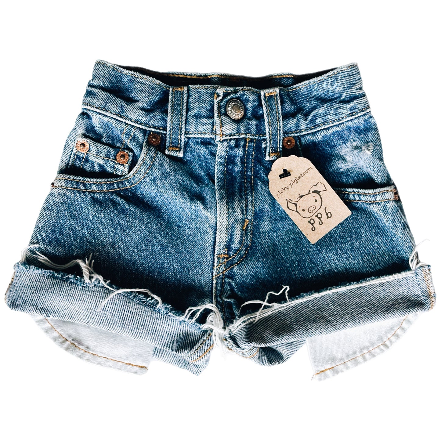 Closed- Loop Levi
