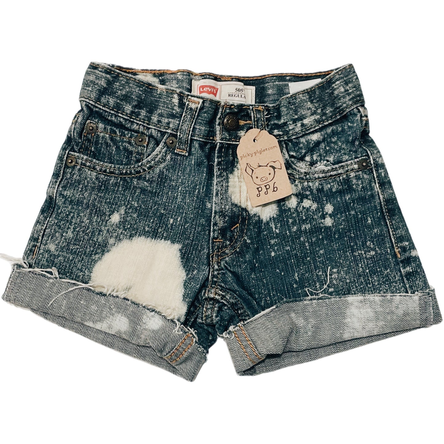 Closed- Loop Levi