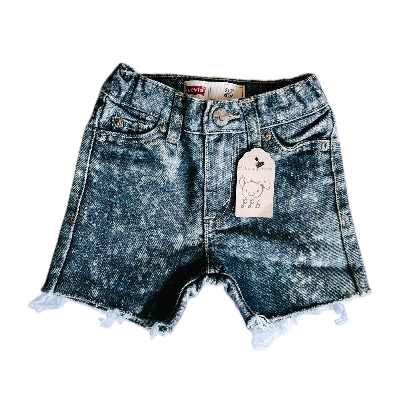 Closed- Loop Levi