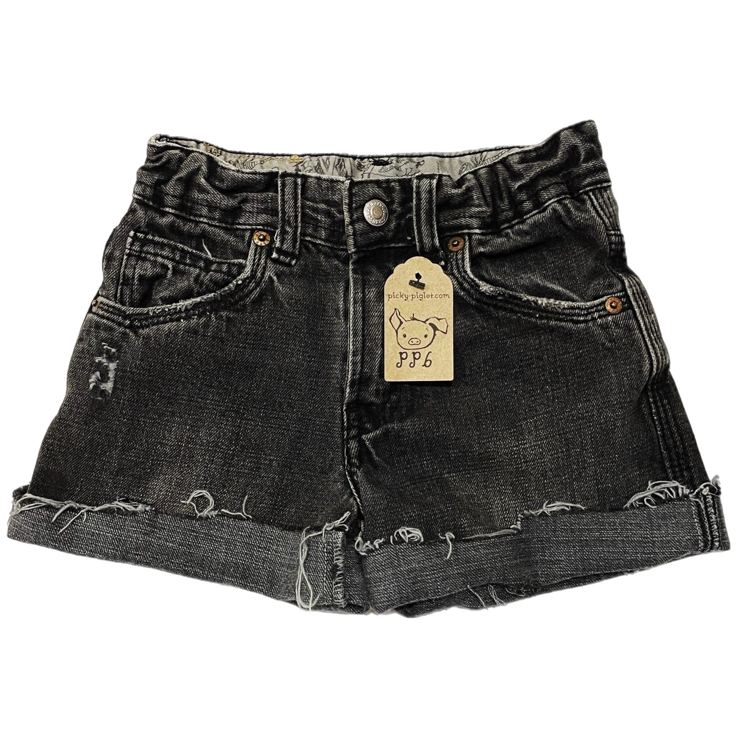 Closed- Loop Levi