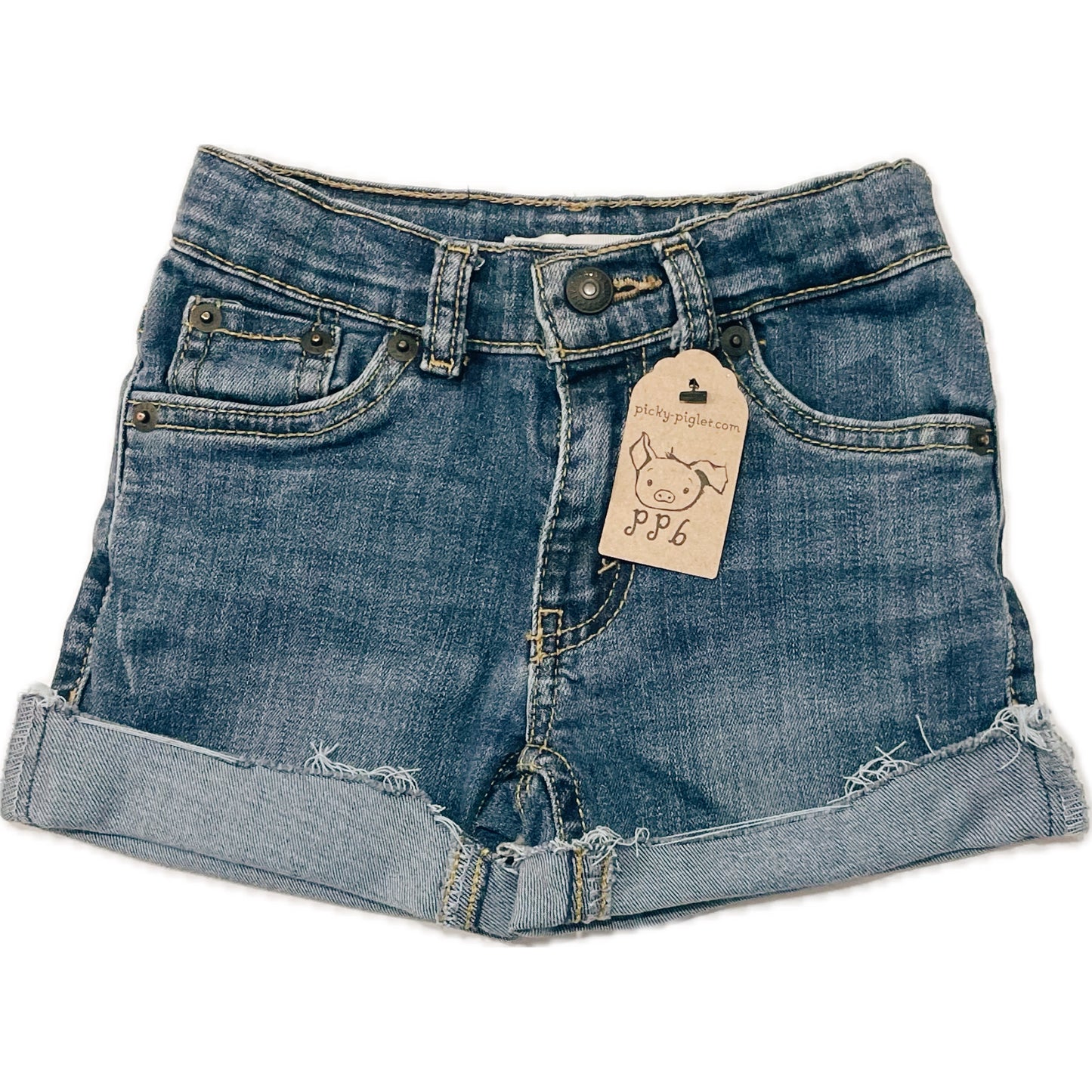 Closed- Loop Levi