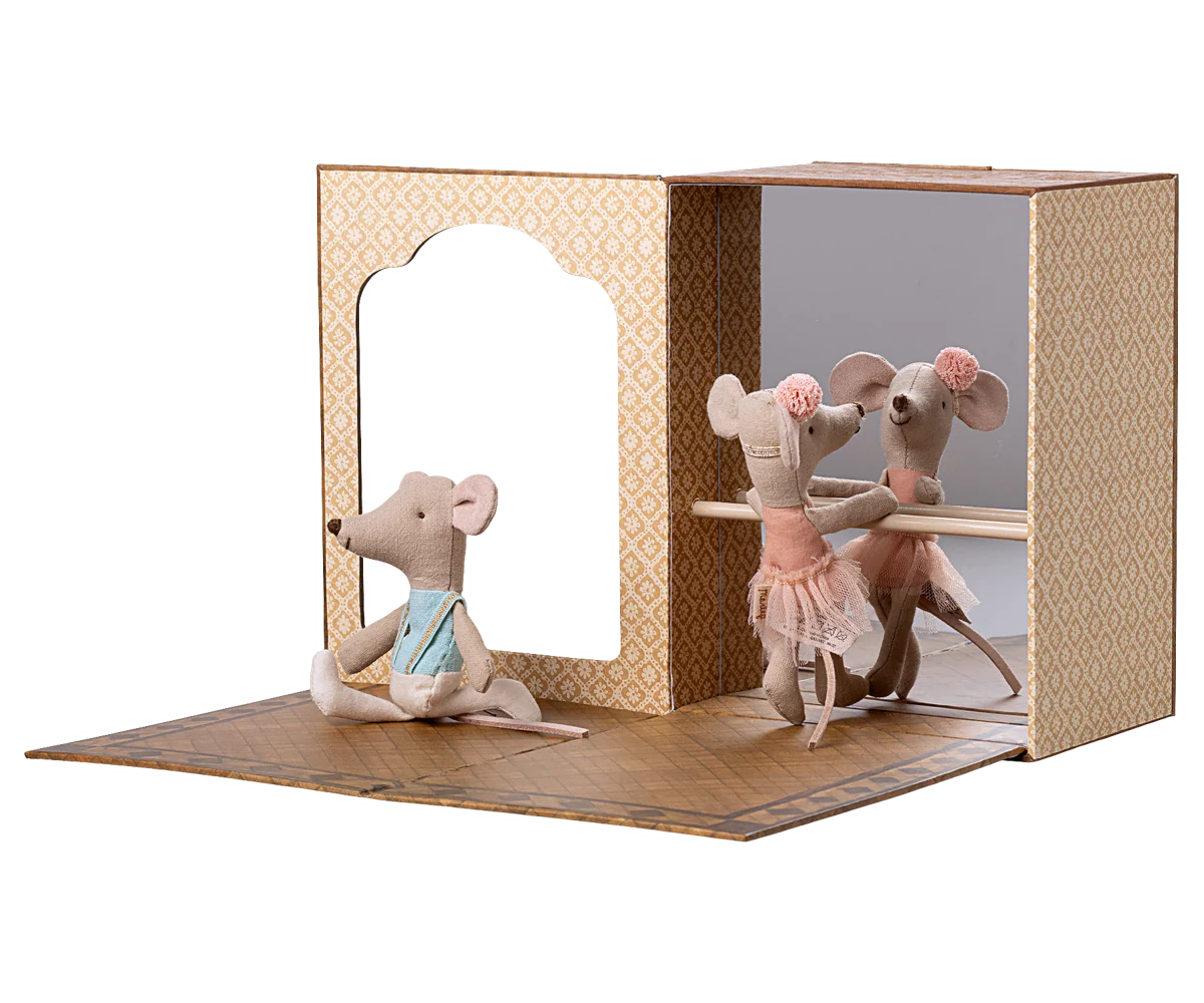 Ballet mice in dance studio, Little sister and brother