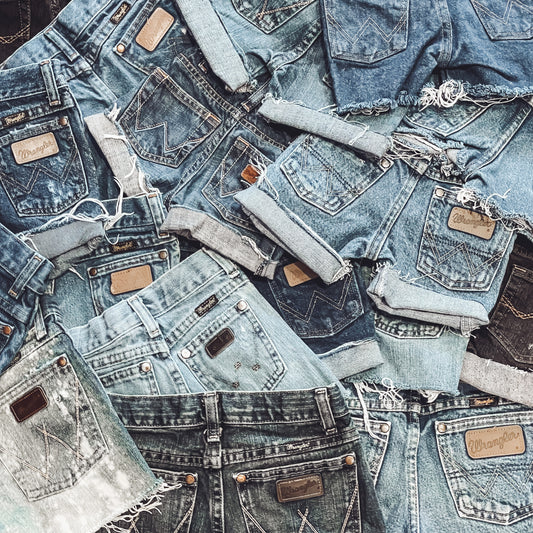 Closed-loop Wranglers