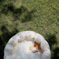 Animal Mold Free Bath Toy Set