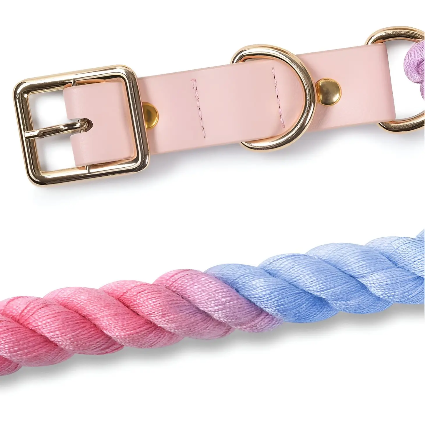 Loofie - Colorful Dog Collar & Leash