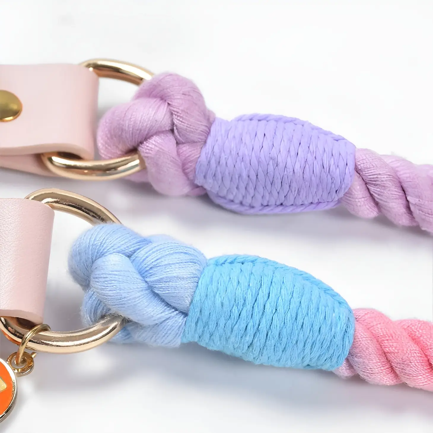 Loofie - Colorful Dog Collar & Leash