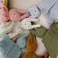 Toffee Bunny Lovey Blanket