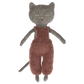 Chatons, Kitten - Grey