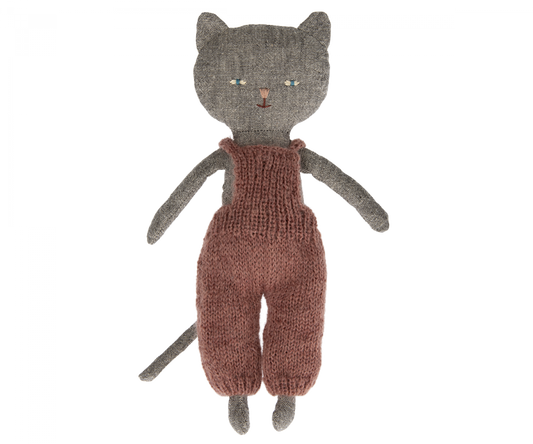 Chatons, Kitten - Grey