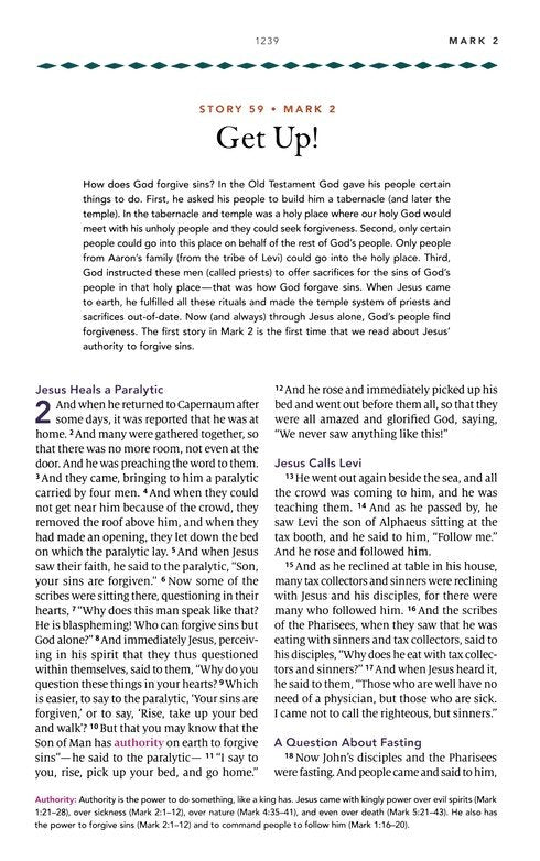 Biggest Story Holy Bible For Kids (Hc)
