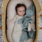 Sage Bunny Lovey Blanket