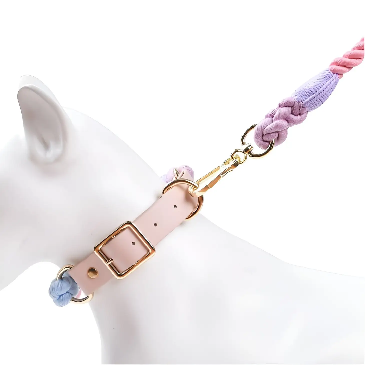 Loofie - Colorful Dog Collar & Leash