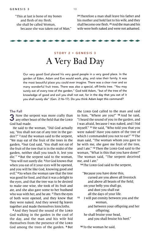 Biggest Story Holy Bible For Kids (Hc)