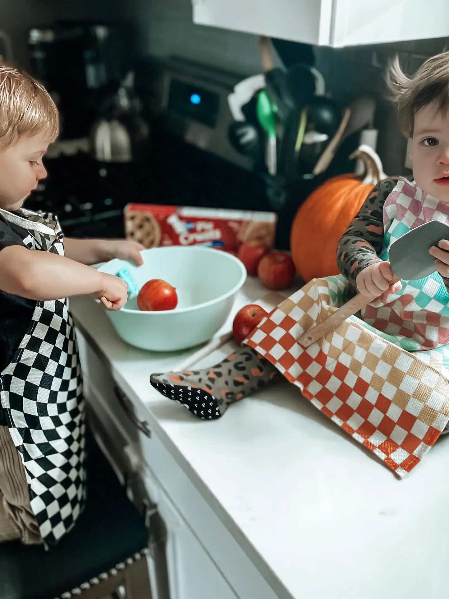 Pastel Check Child Apron