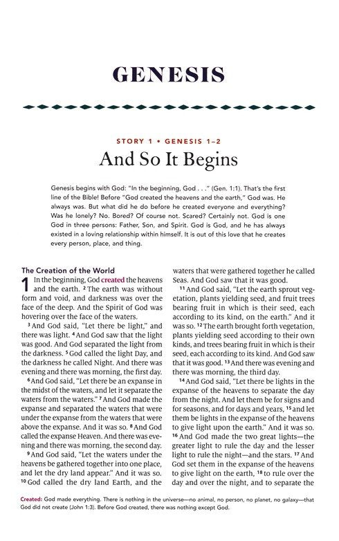 Biggest Story Holy Bible For Kids (Hc)