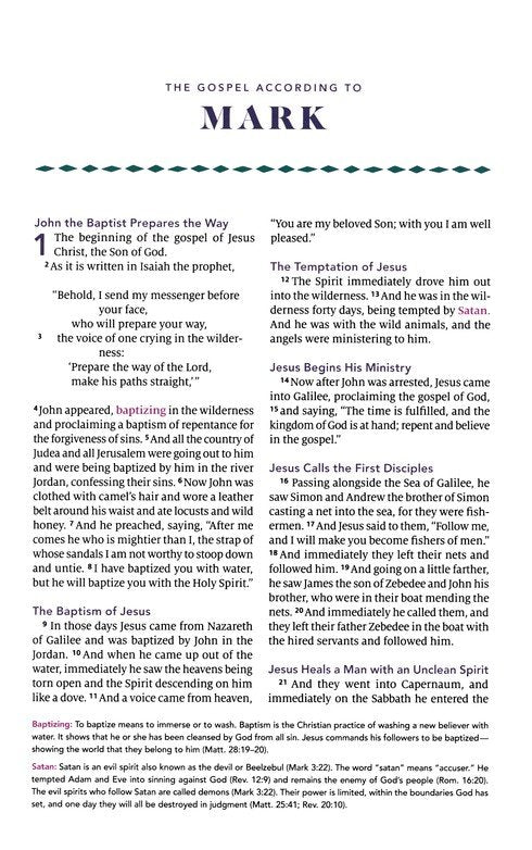 Biggest Story Holy Bible For Kids (Hc)