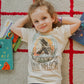 Willie Nelson In The Sky Oatmeal Tee