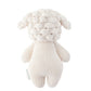 Baby lamb