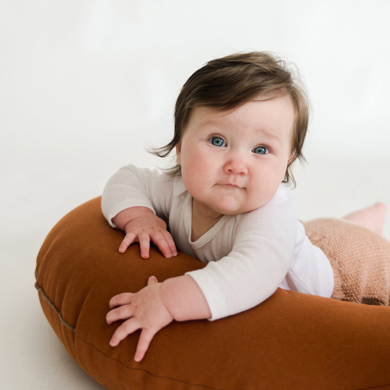 Feeding + Support Pillow | Gingerbread