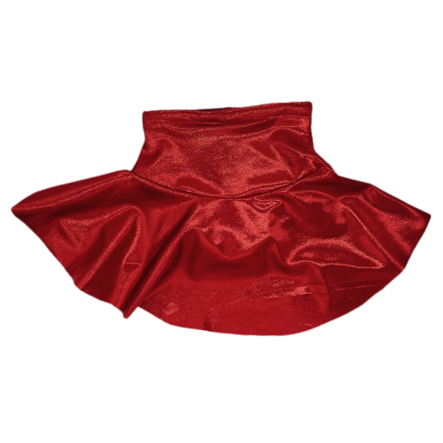 Shine Skater Skirt